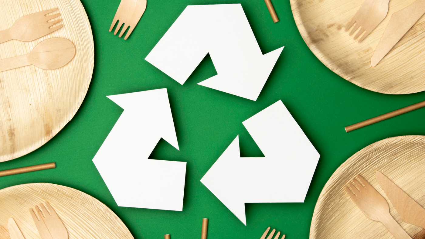 How Eco-Friendly Dinnerware Can Help the Environment - Naturelia