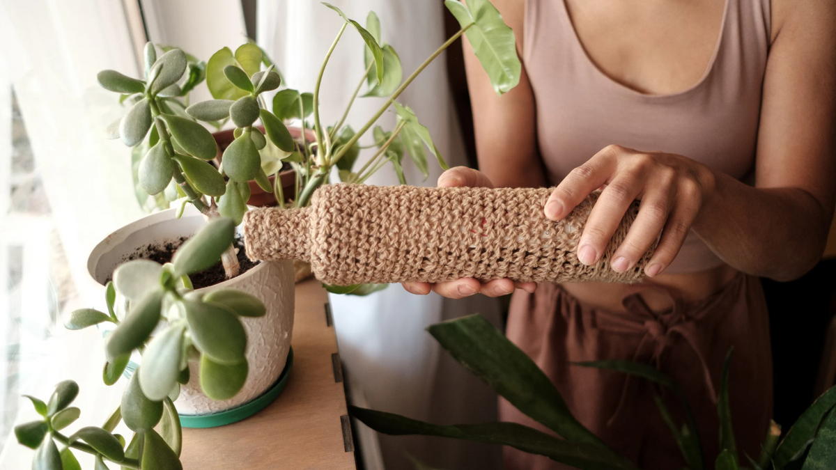 Small Changes, Big Impact: How Switching to Eco-Friendly Dinnerware Can Help Nature - Naturelia