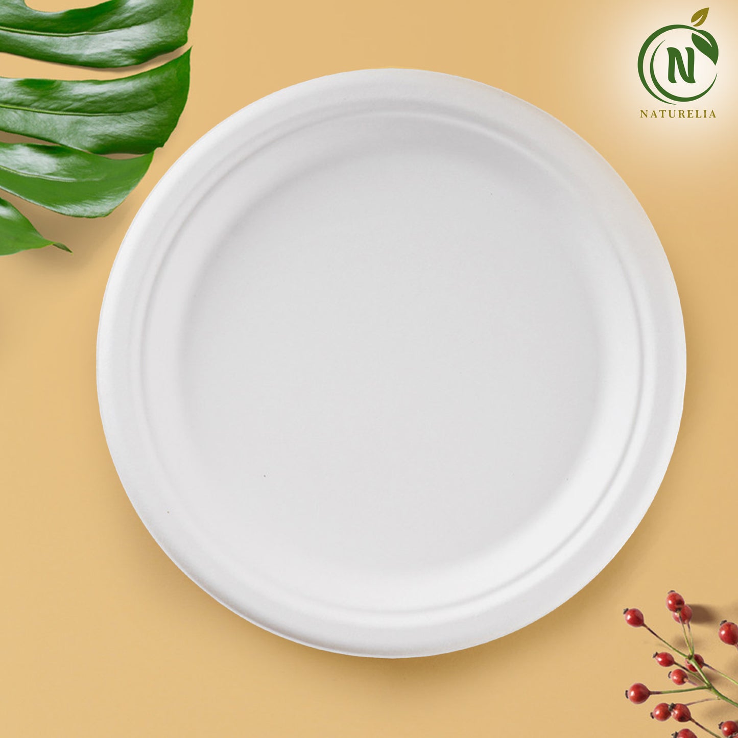 
                  
                    Naturelia Bagasse Sugarcane Plates, 7- and 11-Inch Options
                  
                