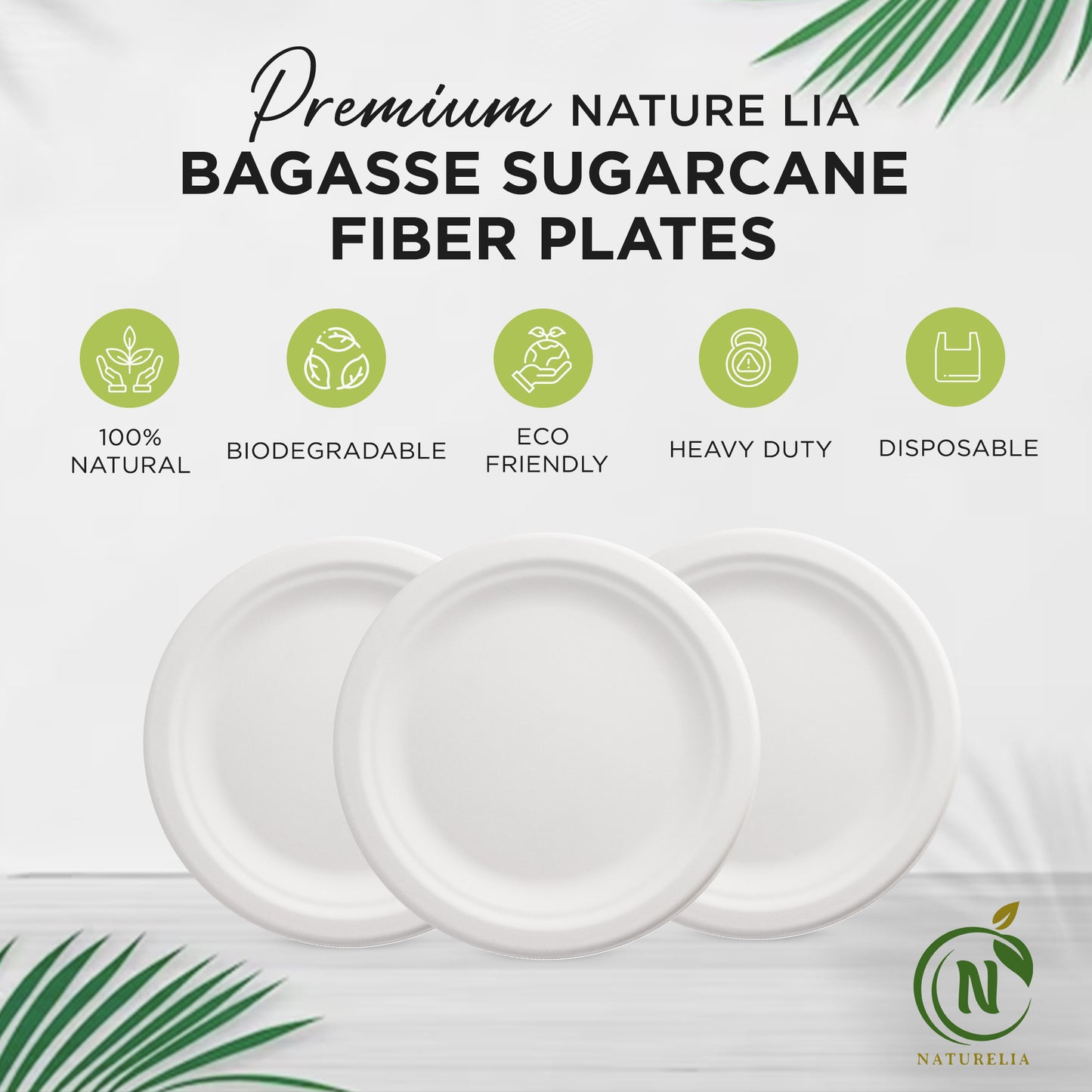 Bagasse sugarcane plates: size options